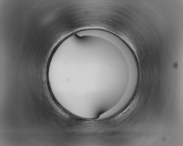 X0000116850797201001191639