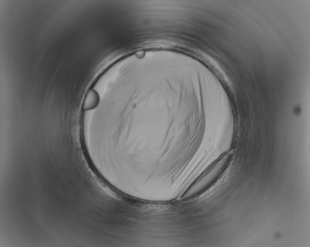 X0000116850802201001191639