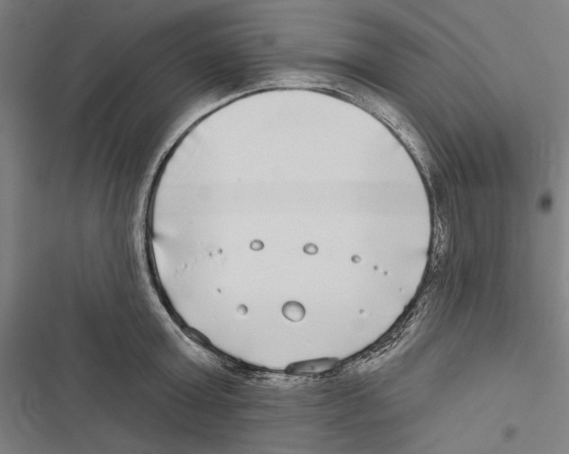 X0000116850803201001191639