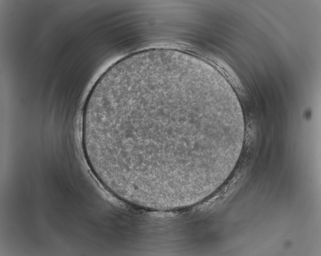 X0000116850804201001191639