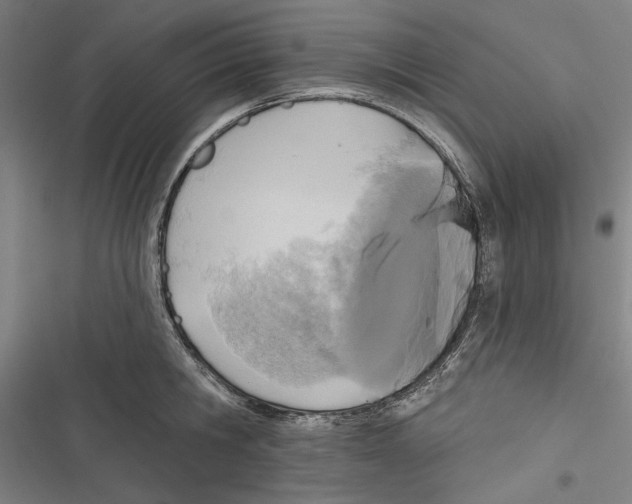 X0000116850806201001191639