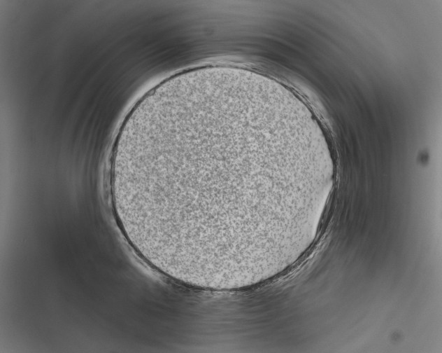 X0000116850808201001191639