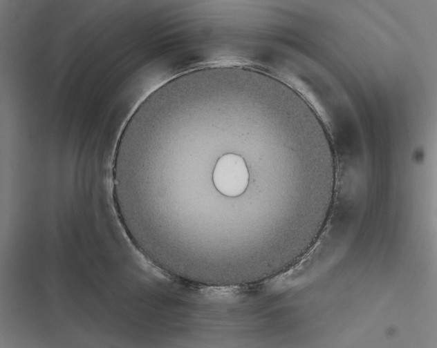 X0000116850810201001191639