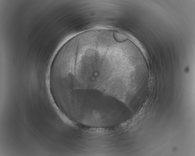 X0000116850811201001191639