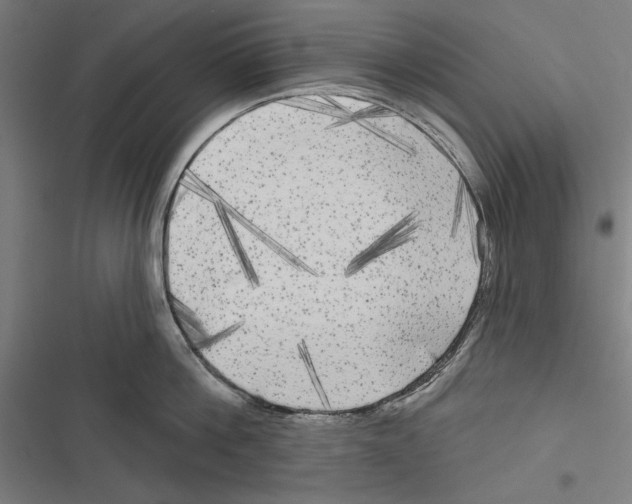 X0000116850812201001191639
