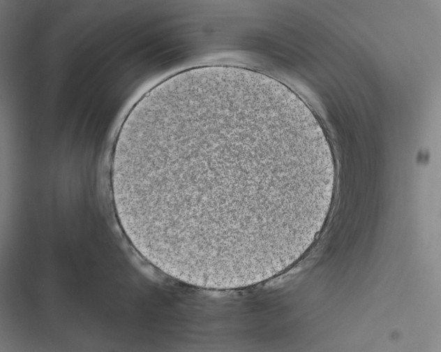 X0000116850816201001191639