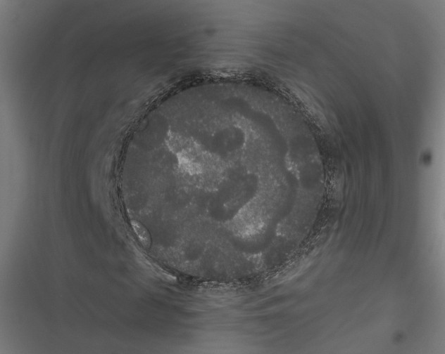 X0000116850817201001191638