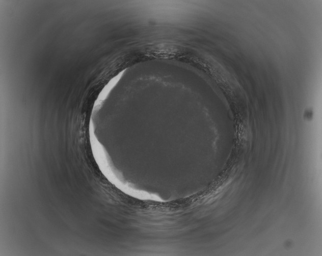 X0000116850818201001191638