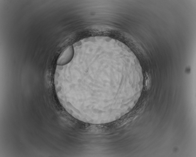 X0000116850819201001191638