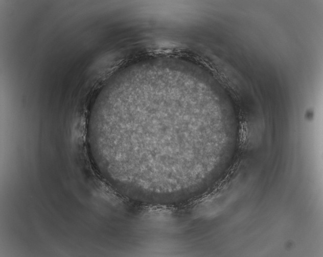 X0000116850820201001191638