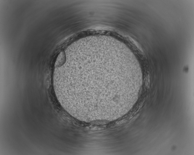 X0000116850821201001191638