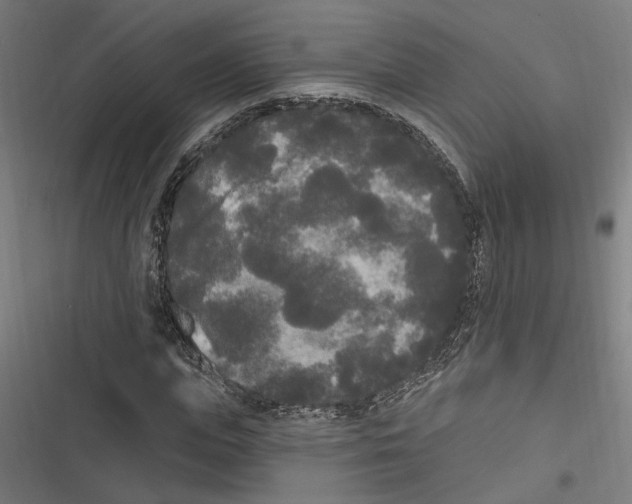 X0000116850823201001191638