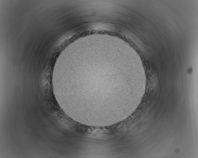 X0000116850824201001191638