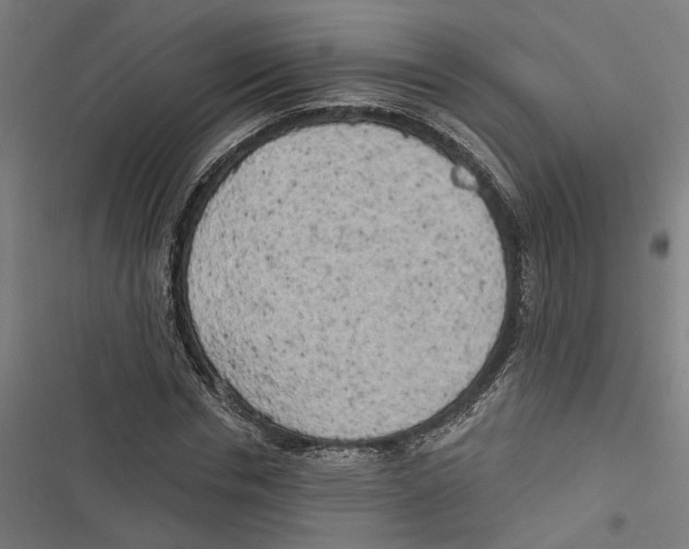 X0000116850826201001191638
