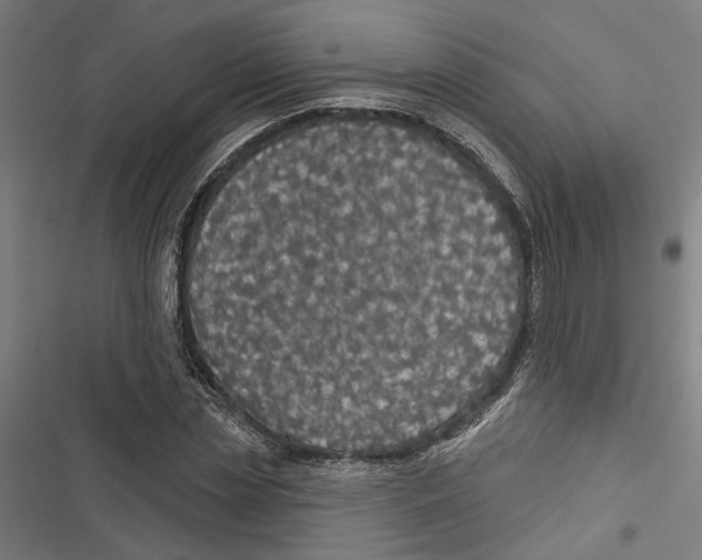 X0000116850829201001191638