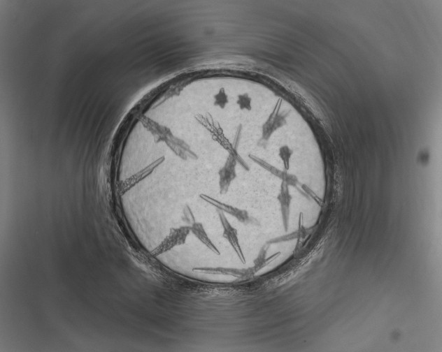 X0000116850830201001191638