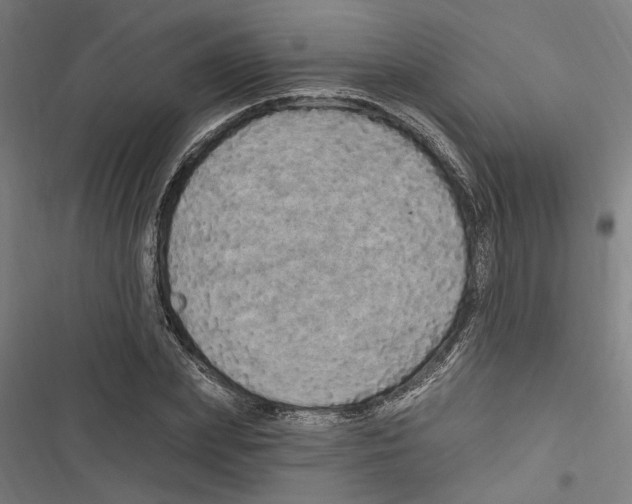 X0000116850831201001191638