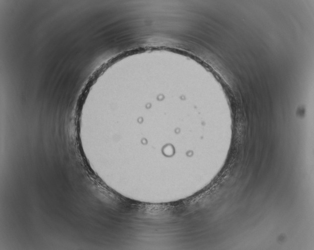 X0000116850832201001191638