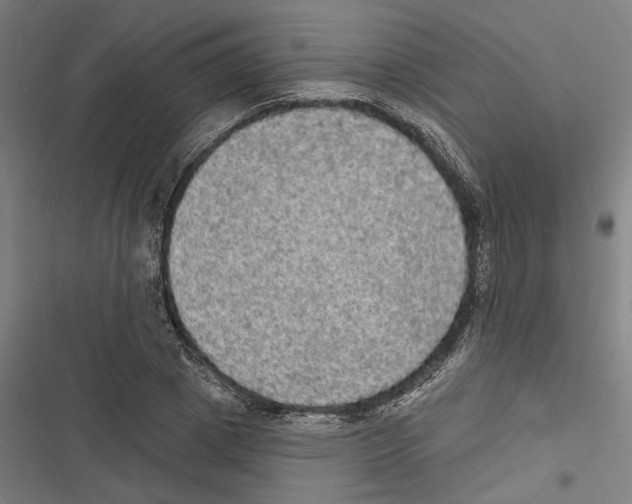 X0000116850833201001191638