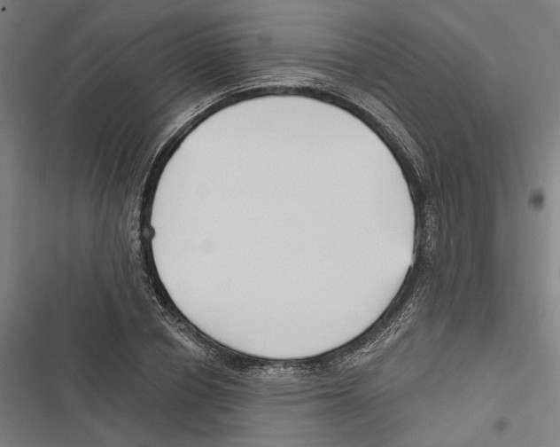 X0000116850834201001191639