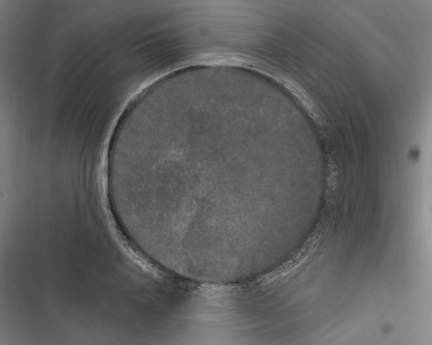X0000116850840201001191639