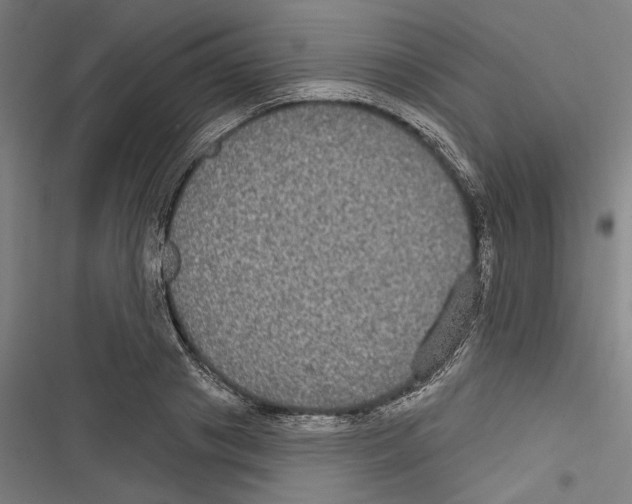 X0000116850841201001191639