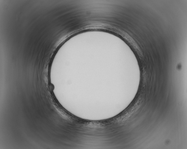 X0000116850842201001191639