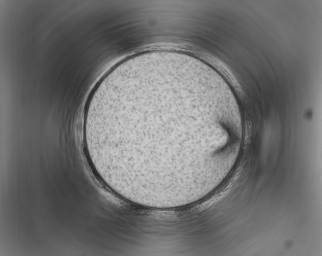 X0000116850844201001191639