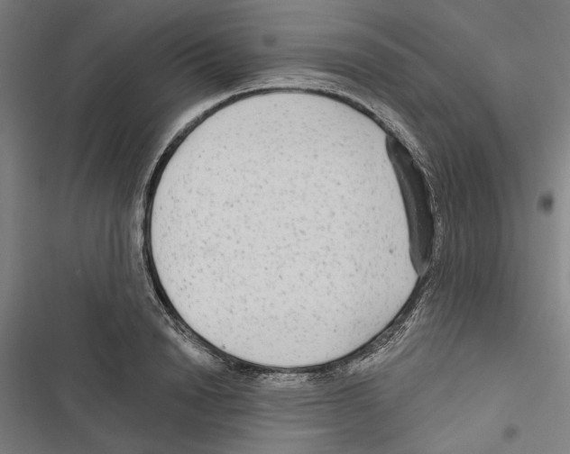 X0000116850846201001191639