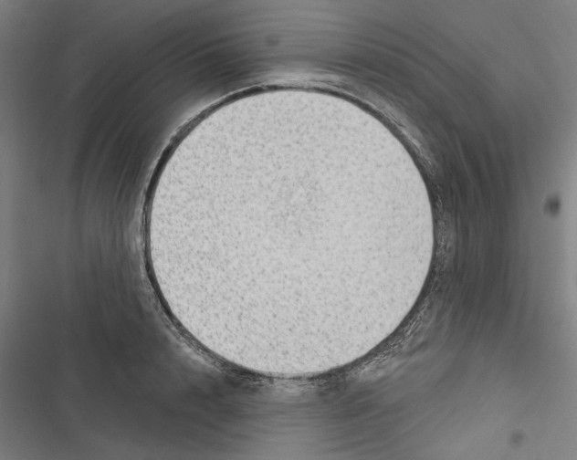 X0000116850848201001191639