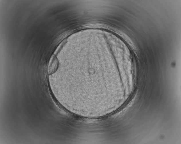 X0000116850849201001191639
