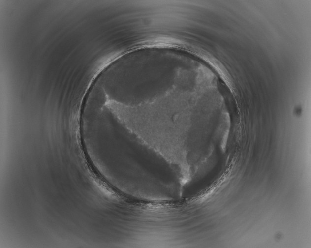 X0000116850850201001191639