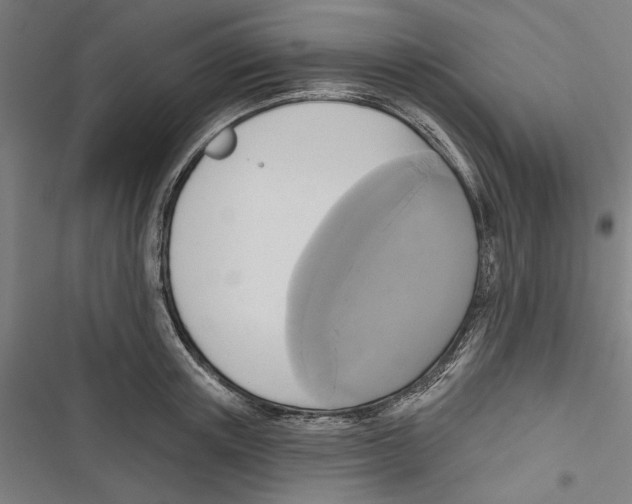 X0000116850851201001191639