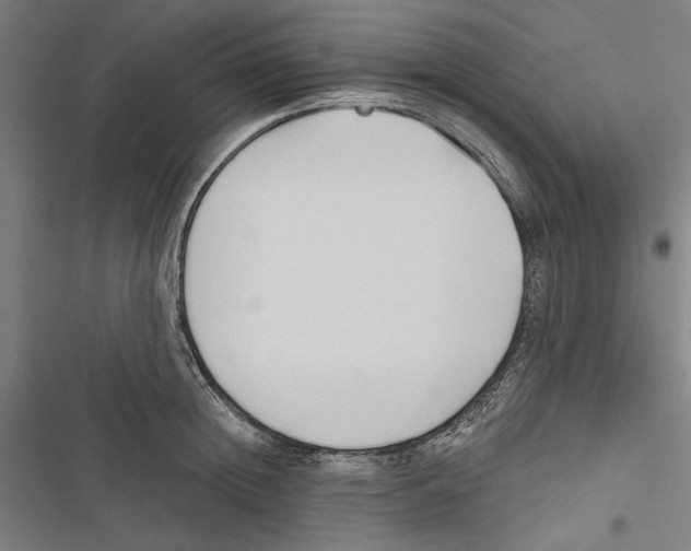 X0000116850852201001191639