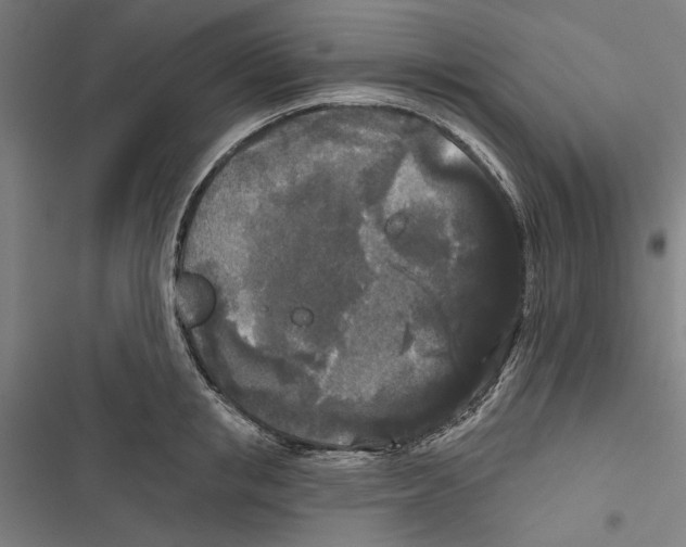 X0000116850853201001191639