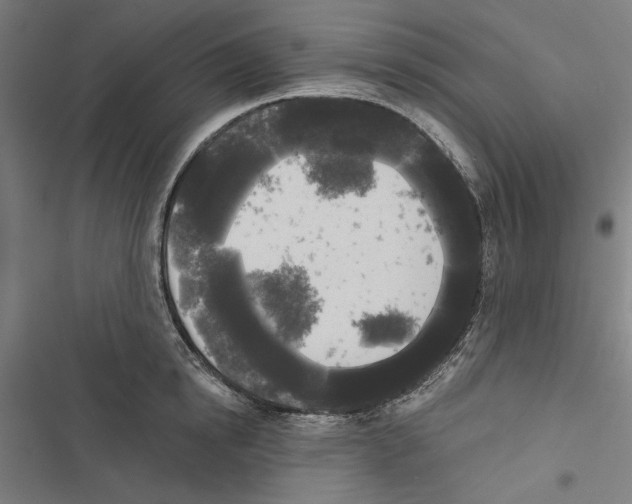X0000116850854201001191639