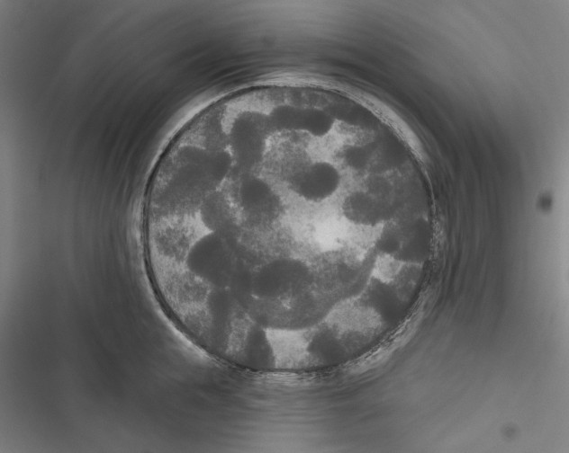 X0000116850855201001191639