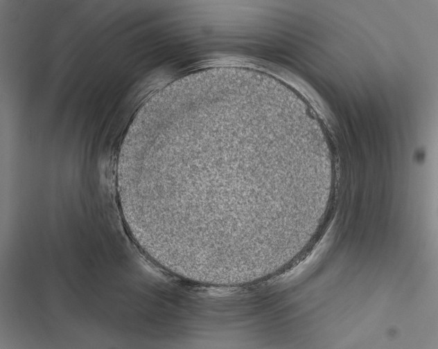X0000116850857201001191639