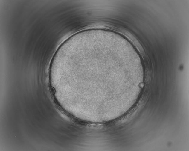 X0000116850858201001191639