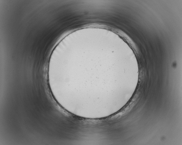 X0000116850860201001191639