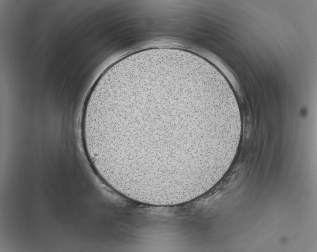 X0000116850861201001191639
