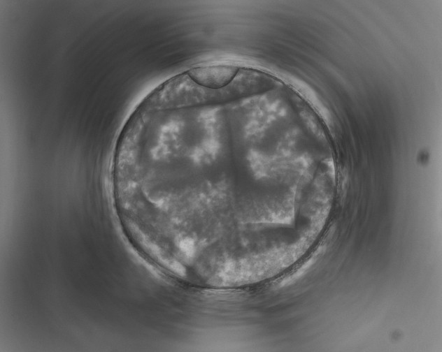 X0000116850863201001191639