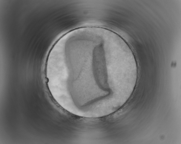 X0000116850864201001191639