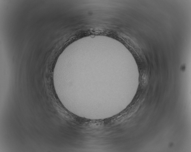 X0000116850865201001191638
