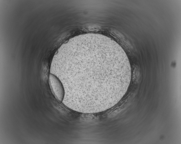 X0000116850866201001191638