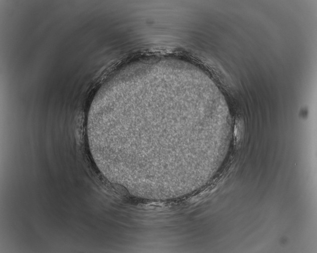 X0000116850867201001191638