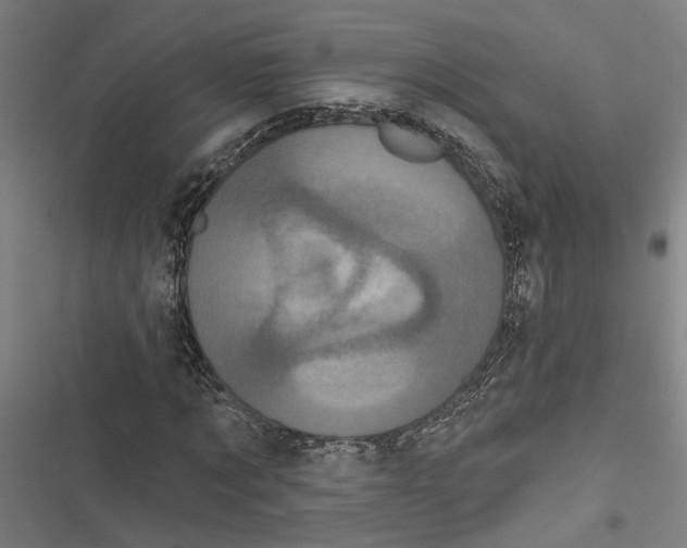 X0000116850869201001191638