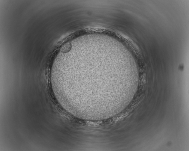 X0000116850870201001191638
