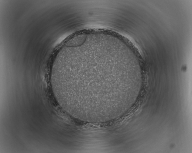 X0000116850871201001191638