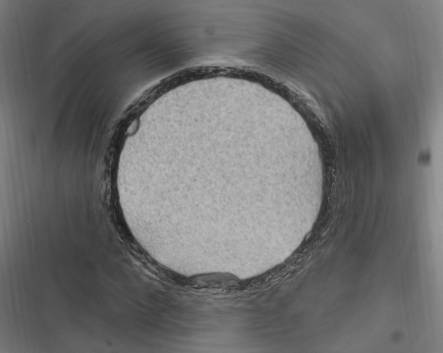X0000116850872201001191638